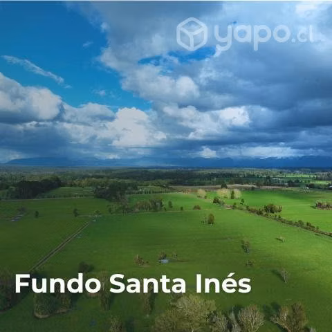 Parcela 5000m2 - Imagen 3