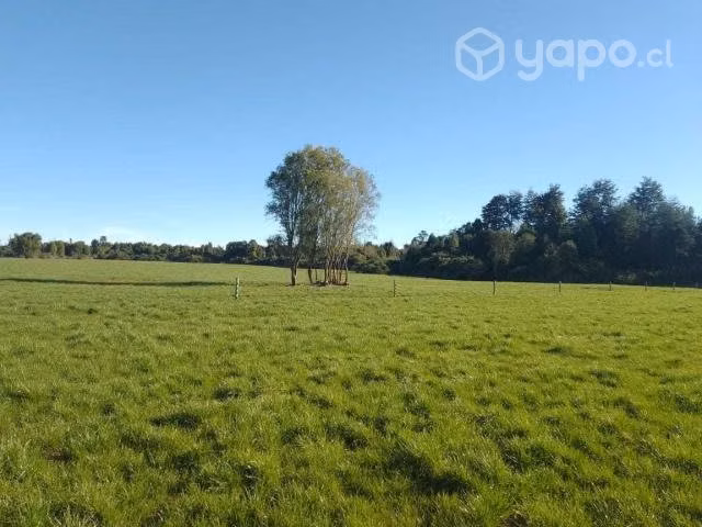 Parcela 5000m2