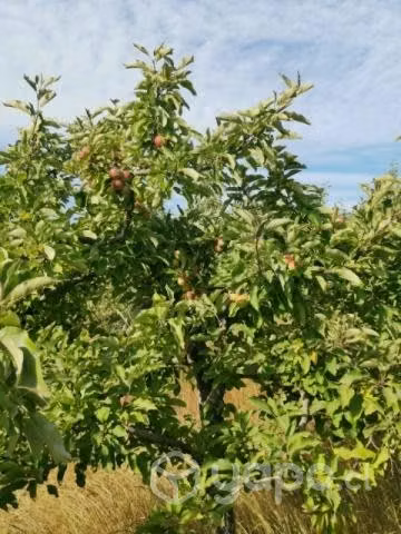 Vendo Parcela Yerbas Buenas a Orilla Carretera