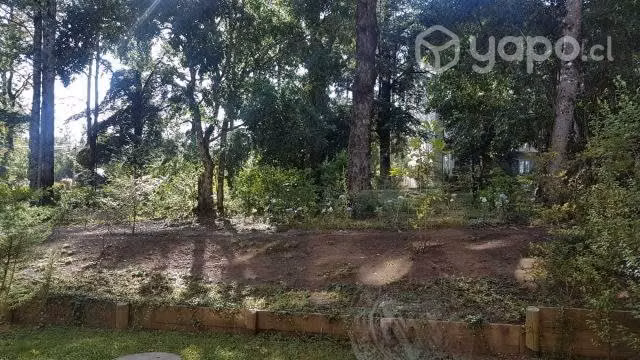 Departamento En La Naturaleza, Cerca Del Centro De