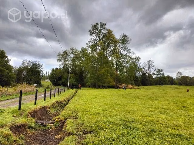 Parcela 5.000mts Osorno Lago Rupanco urbanizada