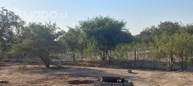 Vendo Parcela - Imagen 4