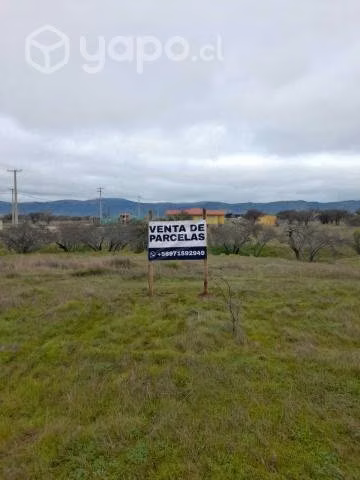 Parcelas Talca Pencahue - Imagen 5