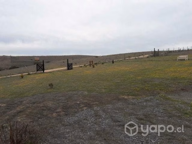 Parcela con casa 5000 m2 de terreno