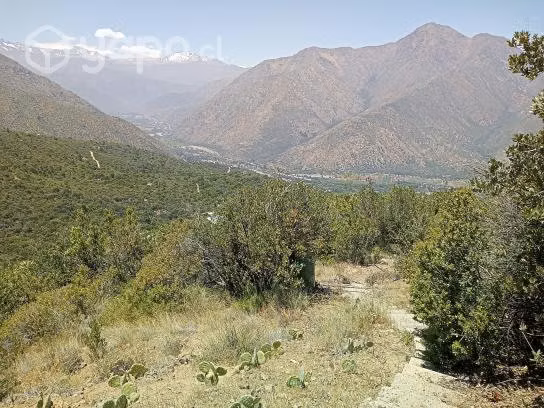 Parcela de agrado - Imagen 19