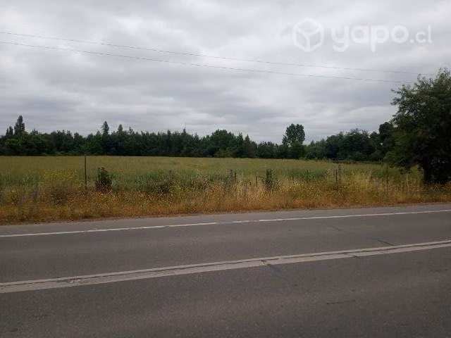 2.5 hectáreas terreno