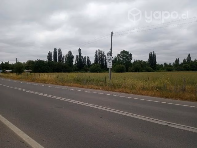 2.5 hectáreas terreno