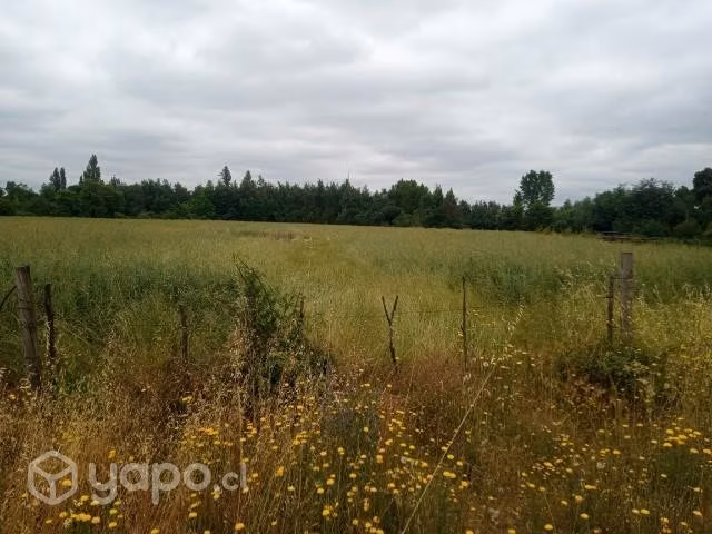 2.5 hectáreas terreno
