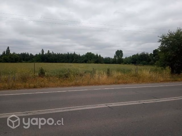 2.5 hectáreas terreno