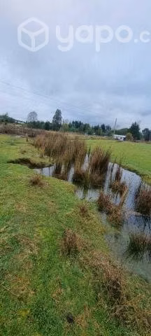 Parcela 5.000 M2 Los Lagos Sector Pancul
