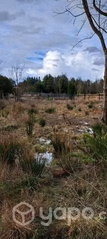 terreno - Imagen 4