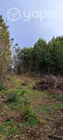 terreno - Imagen 5