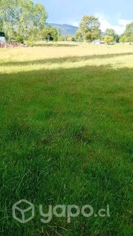 Parcela de una hectárea 40 millones