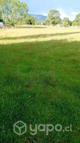 Parcela de una hectárea 40 millones