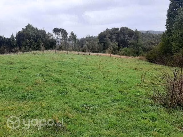 Parcela en Los Muermos de 1.2 hectáreas - Imagen 4