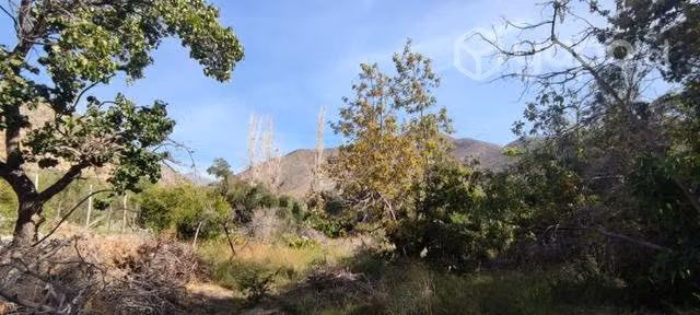 Propiedad en Pedregal