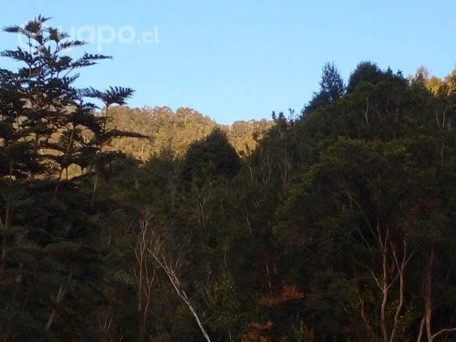 Cabaña Puyuhuapi Lote 47, Cisnes