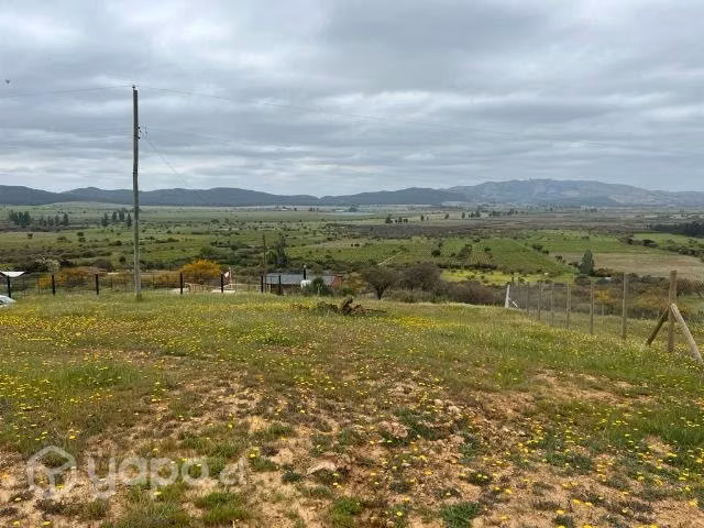 Terreno de 5.000 mt2 - Imagen 3