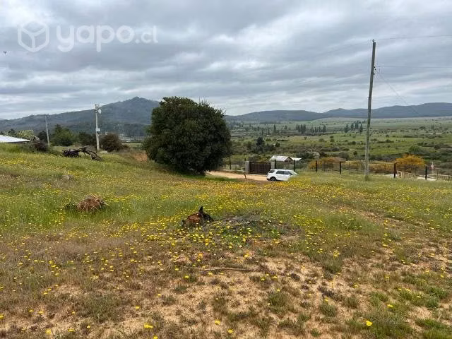 Terreno de 5.000 mt2 - Imagen 2