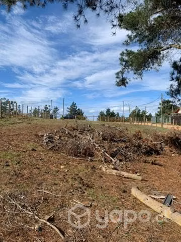 Gran Terreno en Pichilemu
