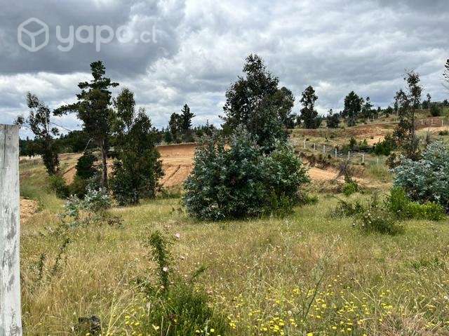 Terreno en venta 1/2 hectárea - Imagen 4
