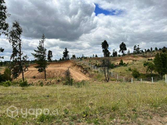 Terreno en venta 1/2 hectárea - Imagen 6