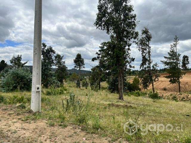 Terreno en venta 1/2 hectárea - Imagen 2