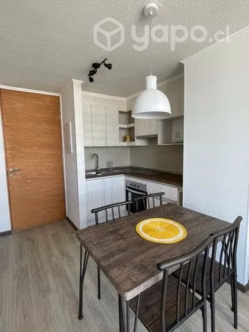 Arriendo dispinible año nuevo - verano2024