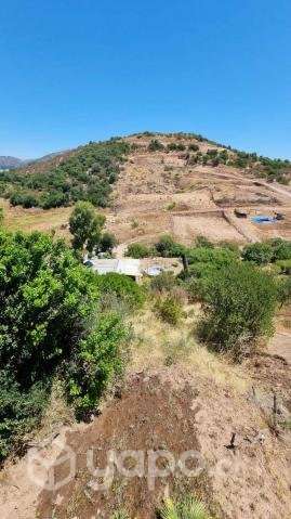 Terreno en Querquel (Maule) con 2 tinajas - Imagen 8