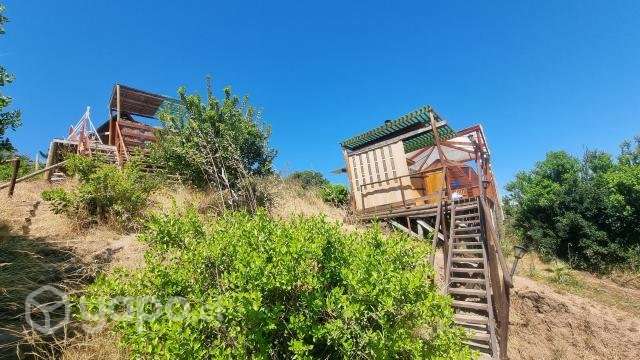 Terreno en Querquel (Maule) con 2 tinajas - Imagen 11