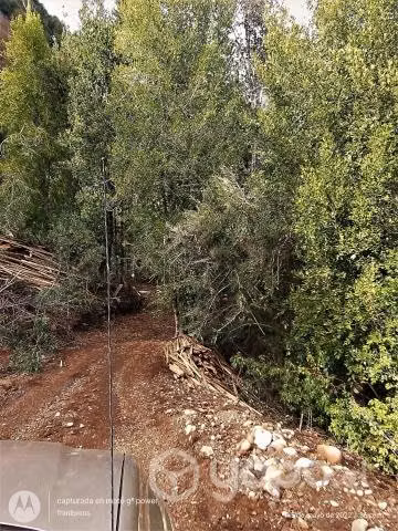 Parcela con casa, excelente ubicación