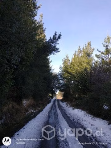 Parcela con casa, excelente ubicación