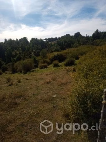 Se vende campo
