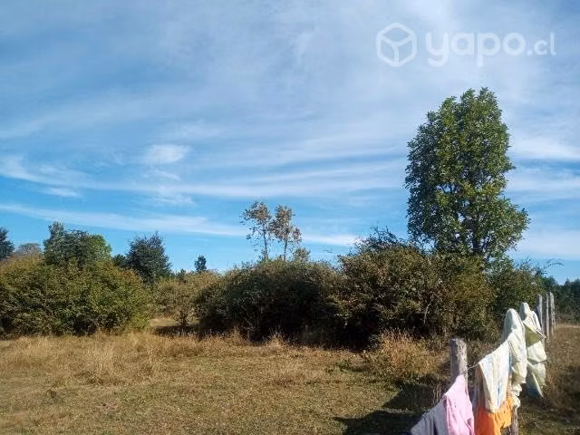 Se vende campo - Imagen 5