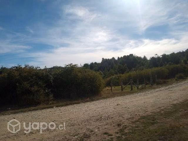 Se vende campo - Imagen 2