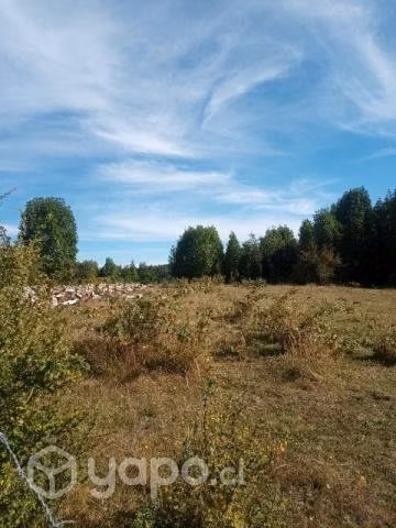 Se vende campo - Imagen 4