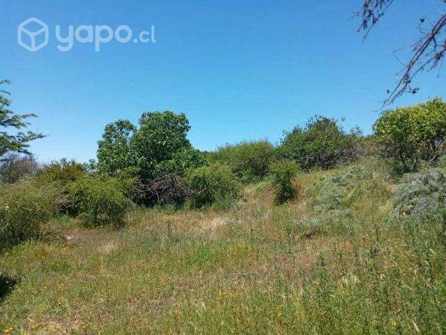Vendo Parcela 5,5 Hectareas - Imagen 2