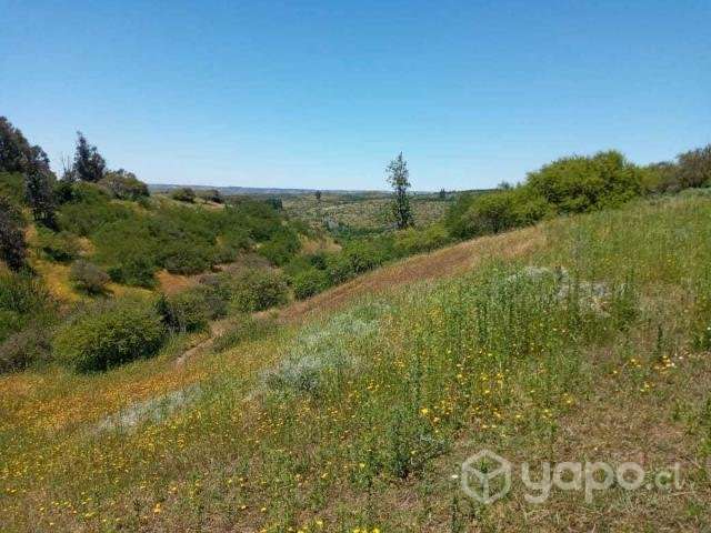 Vendo Parcela 5,5 Hectareas - Imagen 6