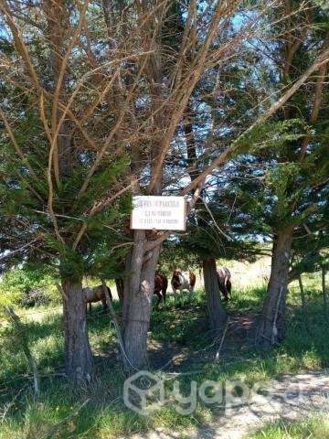 Vendo Parcela 5,5 Hectareas - Imagen 9