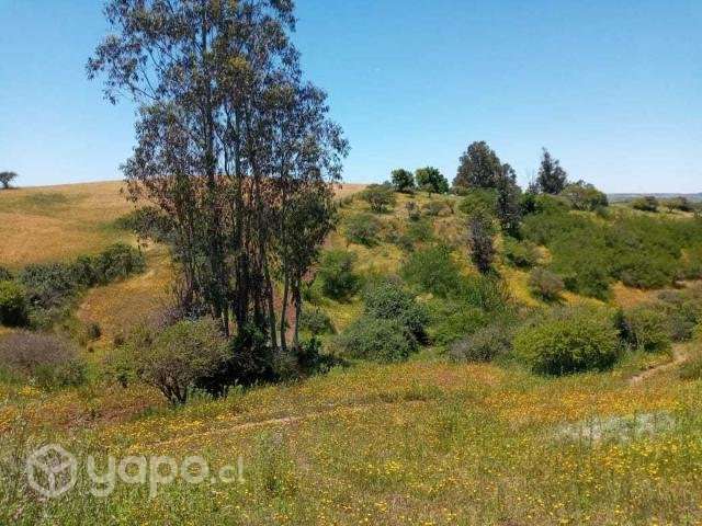 Vendo Parcela 5,5 Hectareas - Imagen 5