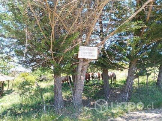 Vendo Parcela 5,5 Hectareas - Imagen 3