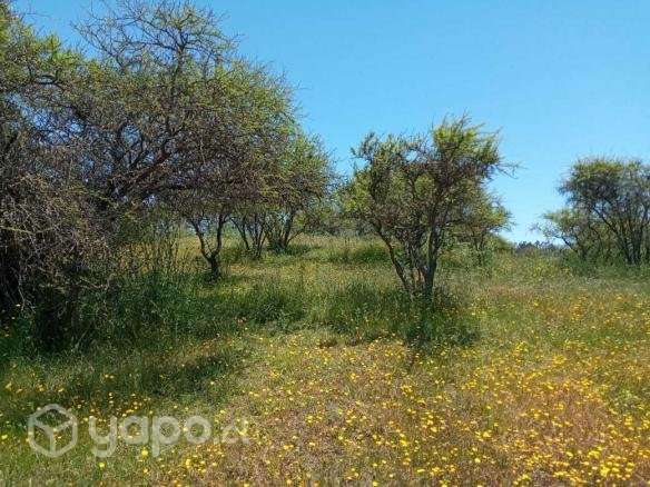 Vendo Parcela 5,5 Hectareas - Imagen 8