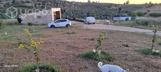 VENDO PARCELA CON CASA 5.000 mtrs2