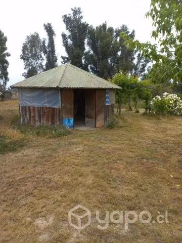 Vendo parcela 5000 m2 con casa agua y luz san pedr - Imagen 7