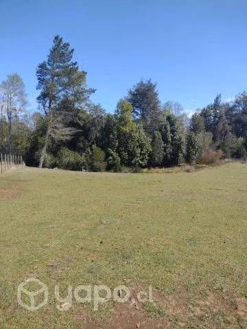 Vendo 3 parcelas de 15000m2 con dos casas Vrca-Lon