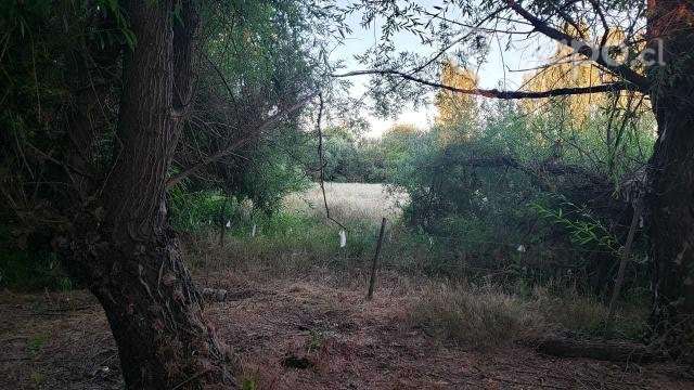 Vendo parcela con vivienda solida - Imagen 2