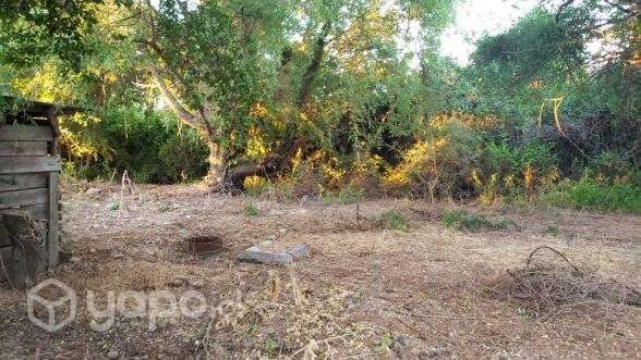 Vendo parcela con vivienda solida - Imagen 3