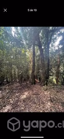 Terreno precordillerano - Imagen 5