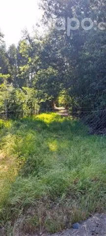 Terreno 5000mts con rol propio - Imagen 4