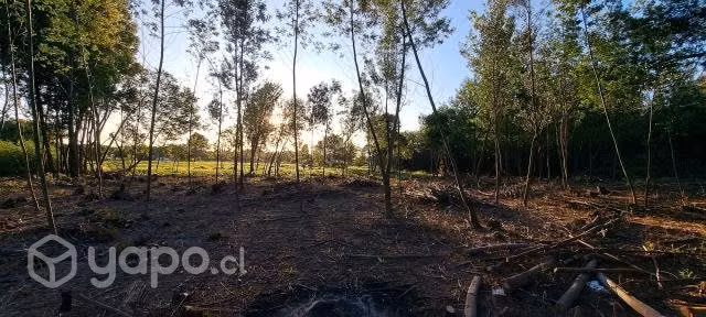 Terreno 5000mts con rol propio - Imagen 2